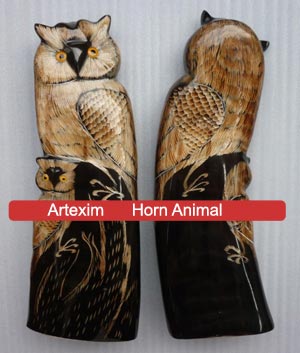 Horn Animal